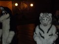 DSCF2628.JPG